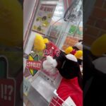 理不尽設定の攻略法は店員さんと仲良く！？　#クレーンゲーム #ufoキャッチャー #ミッキー