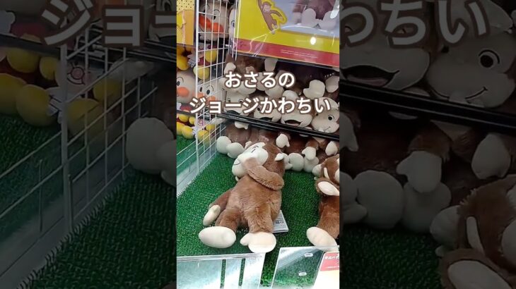 ぬいぐるみ欲しい🥰 #クレーンゲーム #クレーンゲーム景品 #ゲームセンター #クレーンゲーム攻略 #ufoキャッチャー #ゲーセン