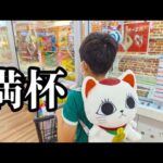 【クレーンゲーム】満杯取ります!!少年が超優良ゲームセンターでお菓子や雑貨を狙った結果···【ufoキャッチャー 回遊館】