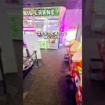 こんなにでかいクレーンゲーム見たことある！？#クレーンゲーム #クレーンゲーム攻略 #プライズ獲得 #確率無視 #ぬいぐるみ #ufoキャッチャー #出禁 #ギガクレ