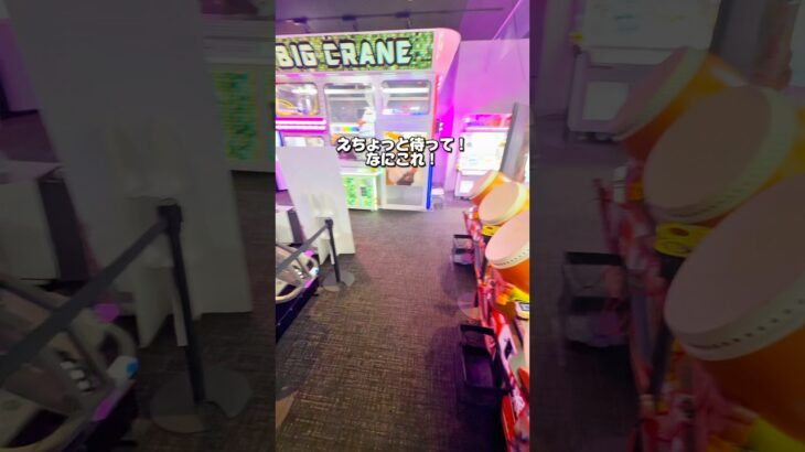 こんなにでかいクレーンゲーム見たことある！？#クレーンゲーム #クレーンゲーム攻略 #プライズ獲得 #確率無視 #ぬいぐるみ #ufoキャッチャー #出禁 #ギガクレ