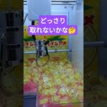 取れた！ #クレーンゲーム景品 #クレーンゲーム #クレーンゲーム攻略 #ゲームセンター #ゲーセン #ufoキャッチャー #ミニクレーンゲーム #パインアメ