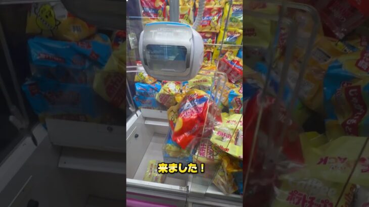 #クレーンゲーム #ゲームセンター #ufoキャッチャー #プレゼント企画 登録で景品プレゼント