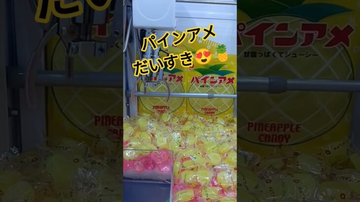パインアメおいしいんだよね〜🍍 #クレーンゲーム #クレーンゲーム景品 #ゲームセンター #クレーンゲーム攻略 #ufoキャッチャー #ゲーセン #ミニクレーンゲーム #10円キャッチャー