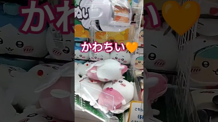ハチワレすきだな🤩 #クレーンゲーム #クレーンゲーム景品 #ゲームセンター #クレーンゲーム攻略 #ufoキャッチャー