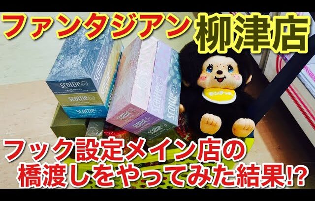 【クレーンゲーム】ファンタジアン柳津店‼︎ 橋渡しを攻略⁉︎#クレーンゲーム#ufoキャッチャー