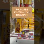【クレーンゲーム】箱物攻略　ヤングドーナツ編　 #クレーンゲーム #ゲームセンター #アミューズメント限定 #ゲーセン #プライズ獲得 #ufoキャッチャー