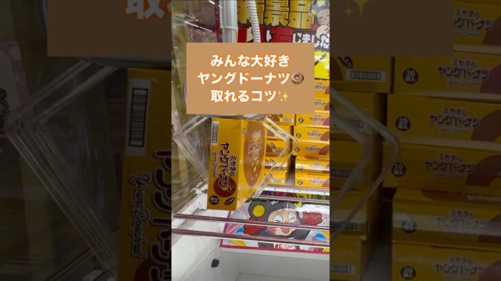 【クレーンゲーム】箱物攻略　ヤングドーナツ編　 #クレーンゲーム #ゲームセンター #アミューズメント限定 #ゲーセン #プライズ獲得 #ufoキャッチャー