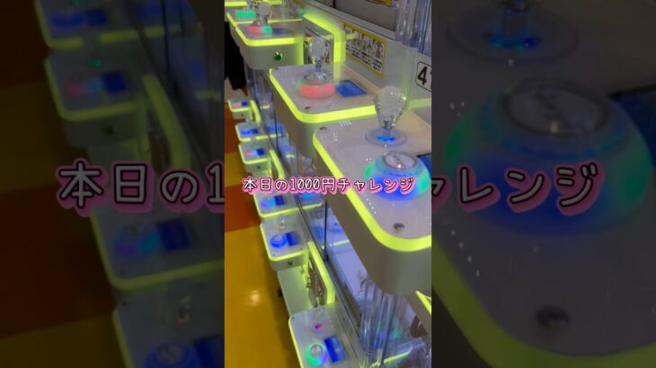 取れそうな景品程取れなくて沼にハマるよね #クレーンゲーム #プライズ獲得 #ゲームセンター #ゲーセン #ufoキャッチャー