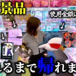 【クレーンゲーム】本気攻略！？人気景品をコスパ良く取ろうとしたら衝撃映像が撮れました…【ufoキャッチャー】