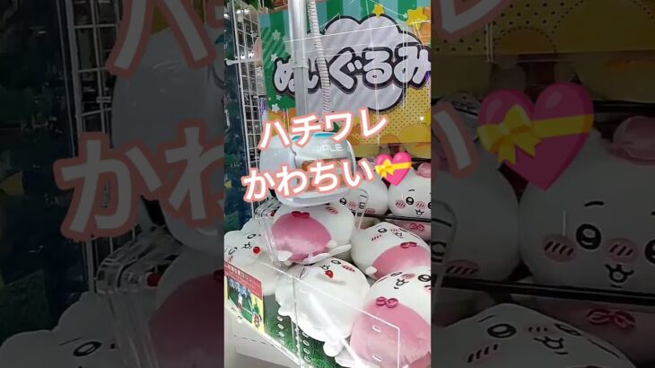 アームがんばってくれよ…😂 #クレーンゲーム #クレーンゲーム景品 #ゲームセンター #クレーンゲーム攻略 #ufoキャッチャー
