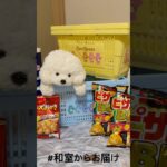 【📍回遊館岐阜店】#ufoキャッチャー #クレーンゲーム景品 #クレーンゲーム動画 #クレーンゲーム#GET品#ゲームセンター#クレーンゲーム攻略#夾娃娃店#和室からお届け#回遊館#回遊館岐阜店