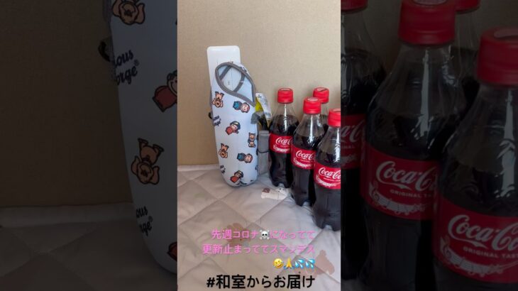 【📍 お宝発見一宮店】#ufoキャッチャー #クレーンゲーム景品 #クレーンゲーム動画 #クレーンゲーム#GET品#ゲームセンター#クレーンゲーム攻略#夾娃娃店#和室からお届け