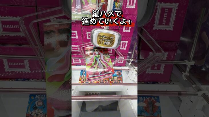 【クレーンゲーム】まさかのレア景品！？猫猫を取れるまでやってみた結果！【結屋大和郡山】 #クレーンゲーム #プライズ #ゲームセンター #ufoキャッチャー #anime #フィギュア