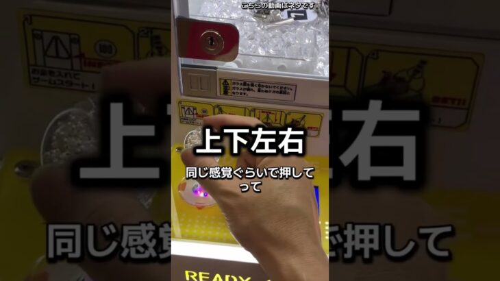 知り合いに教えてもらったクレーンゲームの裏ワザ教えます#クレーンゲーム #ufoキャッチャー #clawmachine