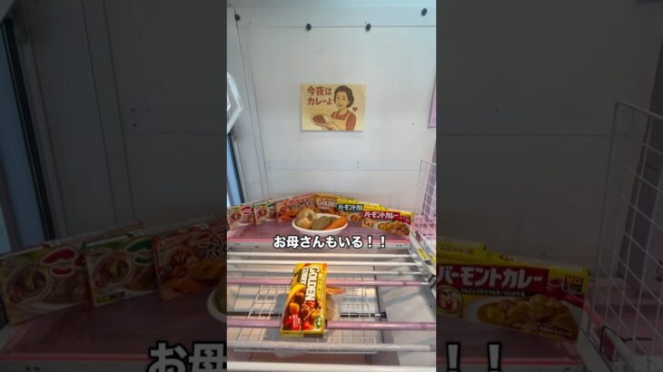 【衝撃映像】クレーンゲームにカレーライスのレシピが一式入ってたから取ってみた！ #ufoキャッチャー #clawplayer #clawmashine