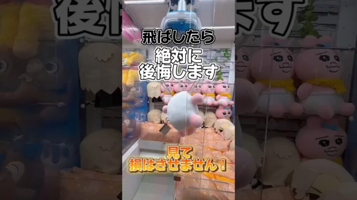 飛ばしたら絶対に後悔します‼️#クレーンゲーム #ゲームセンター #ゲーセン #ゲーム実況 #ゲーム #ufoキャッチャー #gameplay #ぬいぐるみ #games #game #攻略