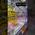 #サンリオ #ゲームセンター #ufoキャッチャー攻略  #キンプリ #ufoキャッチャー #平野紫耀 #カプセルトイ #ufoキャッチャー動画 #ガチャガチャ #クレーンゲーム#マイメロ#バツマツ