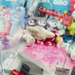 #サンリオ #ゲームセンター #ufoキャッチャー攻略  #キンプリ #ufoキャッチャー #平野紫耀 #カプセルトイ #ufoキャッチャー動画 #ガチャガチャ #クレーンゲーム#マイメロ#バツマツ