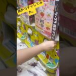 #サンリオ #ゲームセンター #ufoキャッチャー攻略  #キンプリ #ufoキャッチャー #平野紫耀 #カプセルトイ #ufoキャッチャー動画 #ガチャガチャ #クレーンゲーム#マイメロ#バツマツ