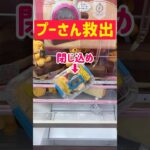 【プーさん救出】橋渡し攻略でプーさん救出！！！