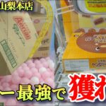 【万代書店山梨本店】クレーンゲーム山梨一獲れるお店でパワー最強で景品の取るコツを紹介
