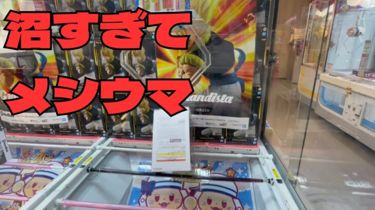 【クレーンゲーム】皆さん、これでメシウマしてください