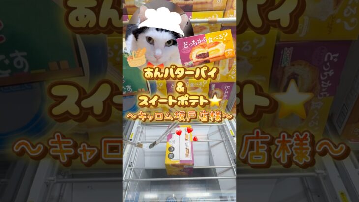 どっちから食べる？#クレーンゲーム #プライズ景品 #パン #ねこ #ユーフォーキャッチャー