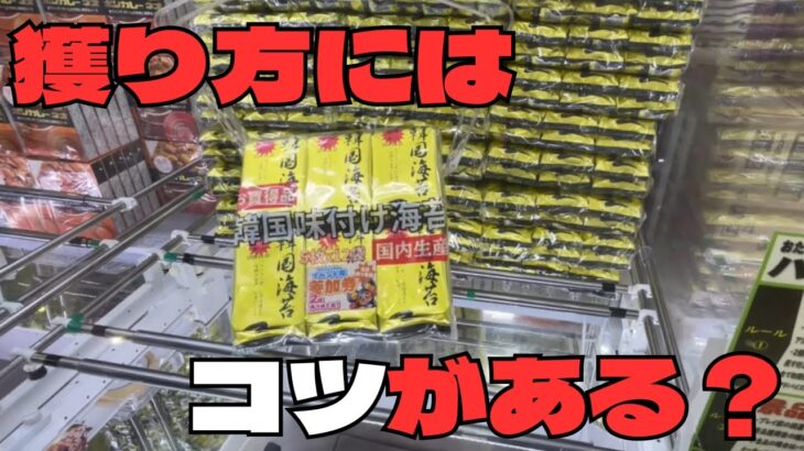 【クレーンゲーム】おたちゅうへ遠征！今回はゲスト登場！