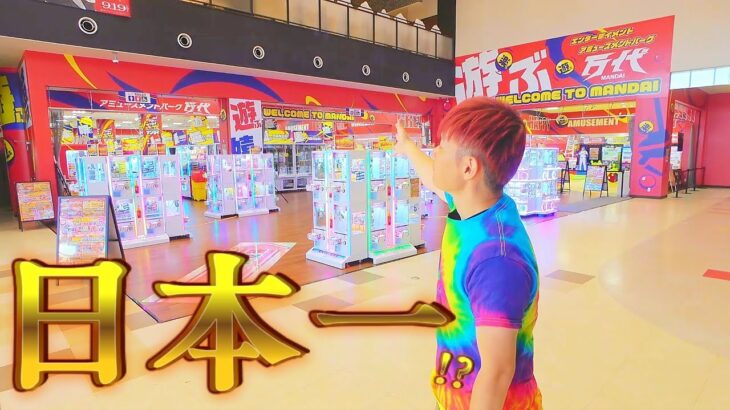 クレーンゲーム日本一とれる級！万代新青森店リニューアルオープン前夜に調査してみた結果…！