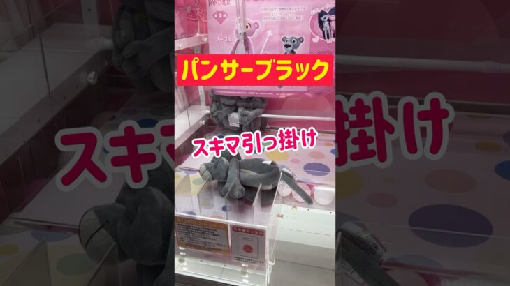 【ぬいぐるみ攻略】パンサーブラックを引っ掛けゲット！！！