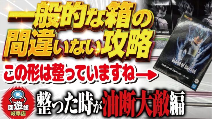 【クレーンゲーム】回遊館岐阜店！オーソドックスな箱のオーソドックスな落とし方攻略
