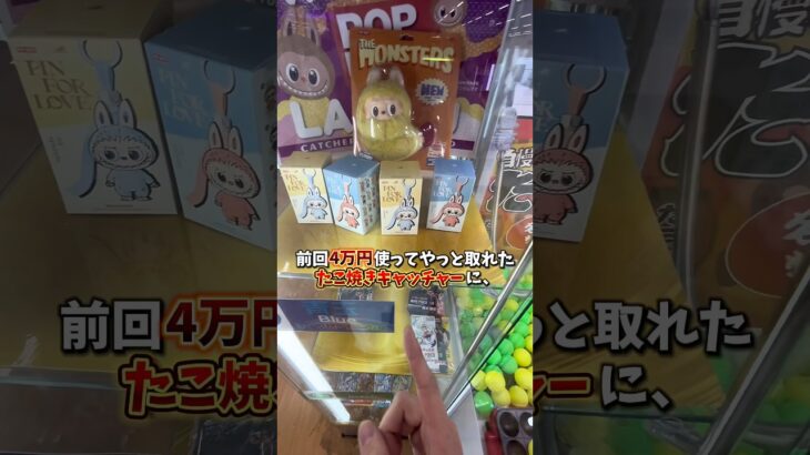 【ゲーセン】ラブブがたこ焼きキャッチャーに入ってたので本当に取れるのか挑戦してみました。(クレーンゲーム)