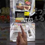 【ゲーセン】牛タンがクレーンゲームに入ってたので買うより安く取って焼肉がしたい。。