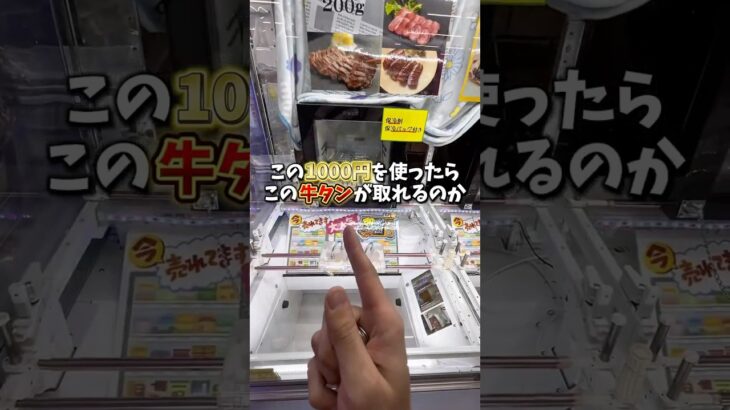 【ゲーセン】牛タンがクレーンゲームに入ってたので買うより安く取って焼肉がしたい。。