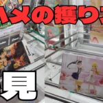 【クレーンゲーム】おたちゅう小山店で低単価獲得してきました