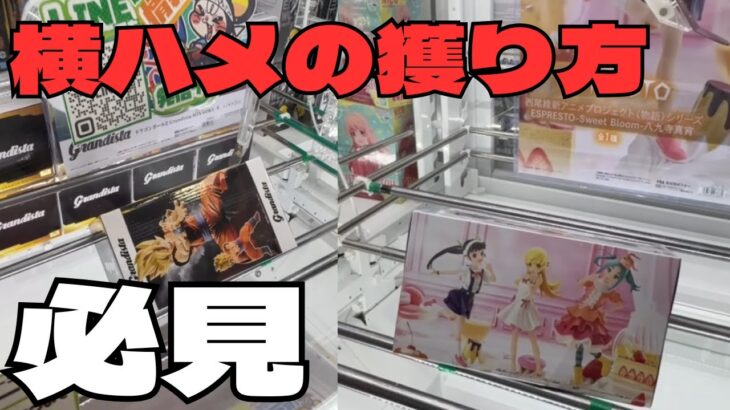 【クレーンゲーム】おたちゅう小山店で低単価獲得してきました