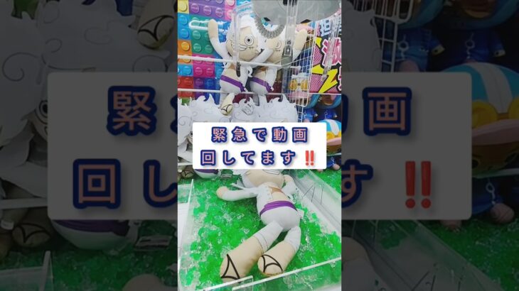 クレーンゲーム😁とれる？😱とれない