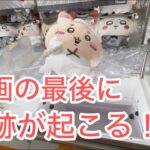 【ちいかわ】今年のハロウィンプライズもかわいすぎる♡