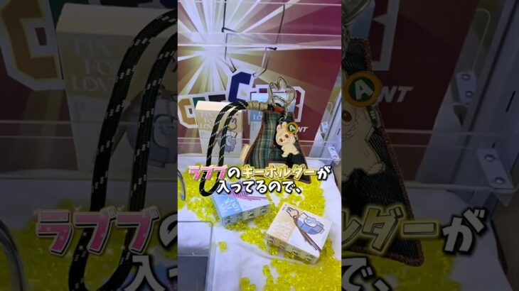 【ゲーセン】ラブブが入ってる確率機で確立無視ができるのか挑戦してみました。(クレーンゲーム)