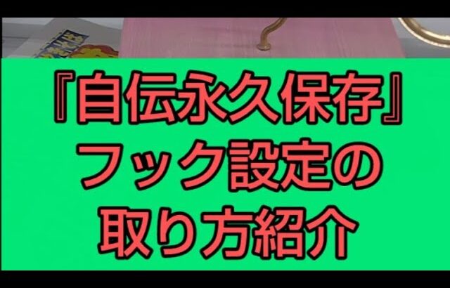 『自伝永久保存』フック設定の攻略を紹介
