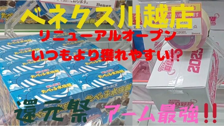 【クレーンゲーム】ベネクス川越店リニューアルしたら獲れやすくなっているのか⁉️