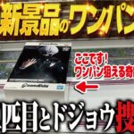 【クレーンゲーム】人気景品をワンパンで倒す初手！二匹目のドジョウはいるのか！？回遊館岐阜店！