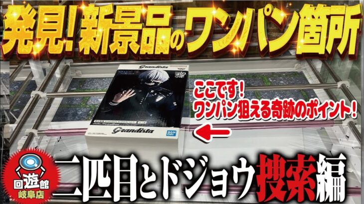 【クレーンゲーム】人気景品をワンパンで倒す初手！二匹目のドジョウはいるのか！？回遊館岐阜店！