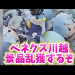 ベネクス川越のクレーンゲームで景品取りまくるぞ