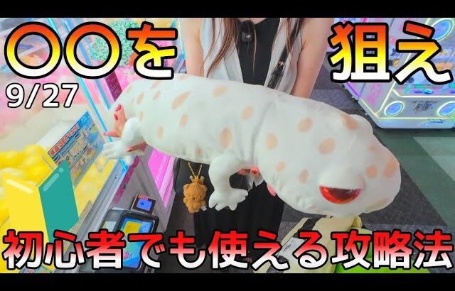 ぬいぐるみは〇〇を狙え！初心者でも直ぐ使える攻略法！