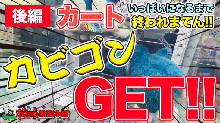 【後編】カートいっぱいになるまで終われまてん！【クレーンゲーム】