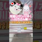 リクエスト景品⭐️～川万さん編～#クレーンゲーム #万代書店川越店 #プライズフィギュア #サンリオ #ポチャッコ #ねこ