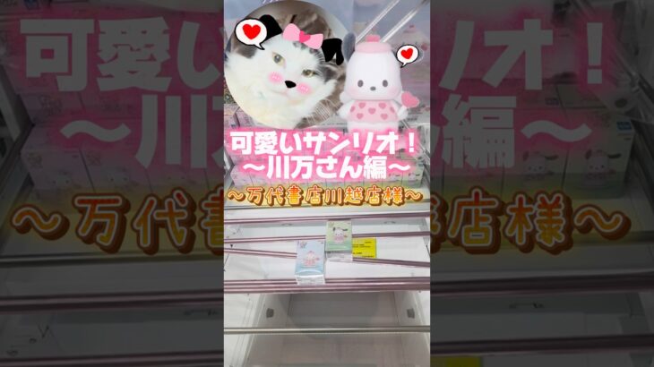 リクエスト景品⭐️～川万さん編～#クレーンゲーム #万代書店川越店 #プライズフィギュア #サンリオ #ポチャッコ #ねこ