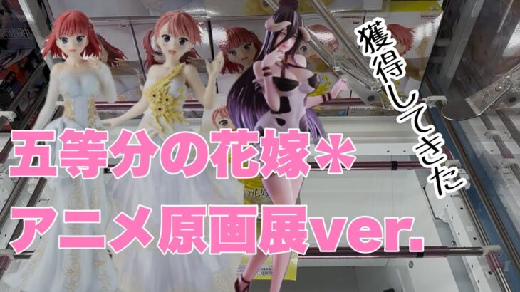 【クレーンゲーム】五等分の花嫁＊&オーバーロード獲得してきた！